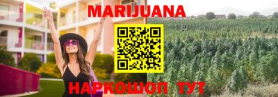 индика Бузулук
