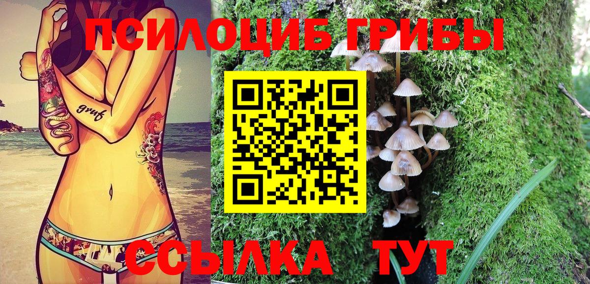 Королёв  закладка  Вход с VPN  Галлюциногенные грибы MAGIC MUSHROOMS  Псилоцибиновые грибы Magic Shrooms 