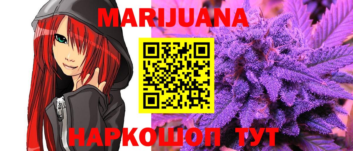 Бошки Шишки план Королёв